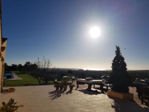 a group of dogs standing around a picnic table at Terre Di Vendicari in Noto