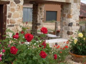 Vonkajšia záhrada v ubytovaní Hotel Valdelinares (Soria)