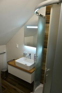 a bathroom with a sink and a mirror at PATTY Garni in Donovaly