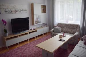 Телевизор и/или развлекательный центр в Cozy apartment in Tarnow