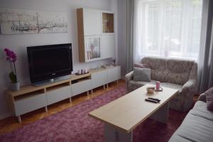 Μια τηλεόραση ή/και κέντρο ψυχαγωγίας στο Cozy apartment in Tarnow