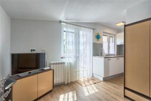 Kuchyň nebo kuchyňský kout v ubytování Apartment Fig Tree