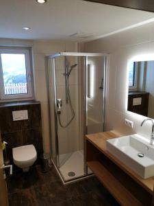 ein Bad mit einer Dusche, einem WC und einem Waschbecken in der Unterkunft Appartement Franz in Zell am Ziller