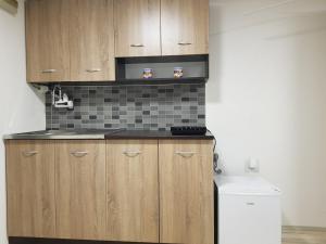 a kitchen with wooden cabinets and a sink and a toilet at Tiny House Veronia in Ohrid