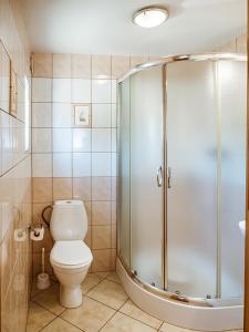 a bathroom with a toilet and a glass shower at U SYLWI Domki Drewniane in Trzęsacz