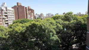 un grupo de árboles en una ciudad con edificios en Luminoso departamento en Cañada y a pasos de todo! en Córdoba