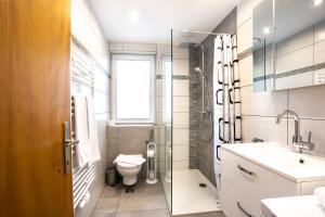 W łazience znajduje się toaleta, umywalka i prysznic. w obiekcie Kaprun Apartments w Kaprunie +37 zdjęć
