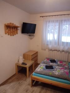 um quarto com uma cama e uma televisão na parede em Gazdówka "Pod Pstrągiem" em Korbielów
