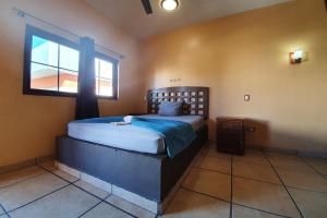Postel nebo postele na pokoji v ubytování Hotel Colonos Los Cabos