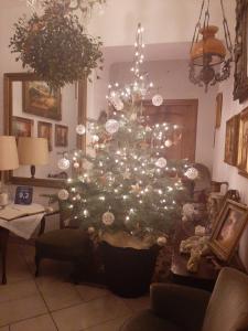 a christmas tree with lights in a living room at Willa Marysin in Maków Podhalański