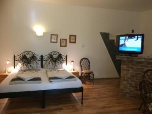 um quarto com uma cama, uma televisão e uma lareira em Penzion Dukát em Vřesina