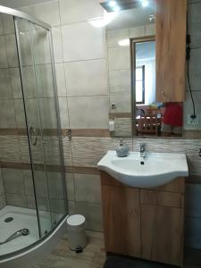 La salle de bains est pourvue d'un lavabo, d'une douche et d'un miroir. dans l'établissement APARTAMENT z aneksem kuchennym BARBARKI, à Solina