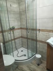 La salle de bains est pourvue d'une douche et de toilettes. dans l'établissement APARTAMENT z aneksem kuchennym BARBARKI, à Solina