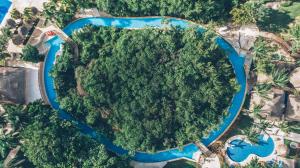 an overhead view of a large forest with blue water at Iberostar Selection Paraíso Maya in Puerto Morelos