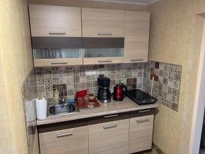 uma cozinha com um lavatório e uma bancada em Rusnės Apartamentai em Rusne