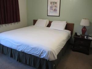 Un pat sau paturi într-o cameră la Budget Inn Ballinger