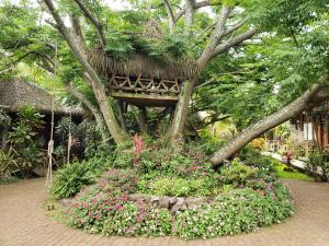 Um jardim no exterior de Hotel Manavai