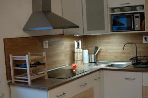 a kitchen with a sink and a stove top oven at Apartman Masaryk in Lipova Lazne