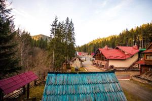Príroda v okolí chaty v prírode