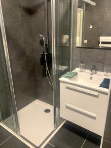 un bagno con doccia e lavandino di T2 Ajaccio vue mer ad Ajaccio