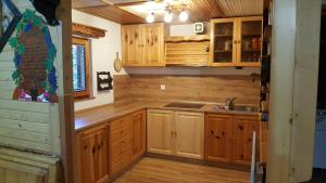 Kuchyň nebo kuchyňský kout v ubytování Holiday Home Prdelanca