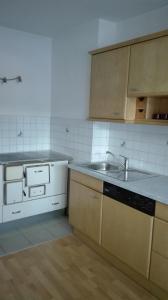 kuchnia ze zlewem i blatem w obiekcie Ferienwohnung Wohlesser w mieście Annaberg im Lammertal