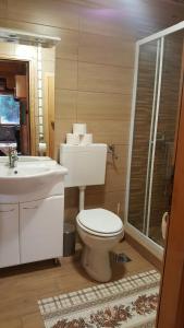 Koupelna v ubytování Holiday Home Prdelanca + 26 fotografií