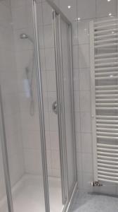 een douche met een glazen deur in de badkamer bij Ferienwohnung Wohlesser in Annaberg im Lammertal