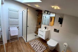 łazienka z prysznicem, toaletą i umywalką w obiekcie Duplex apartment Morsztynowska w Krakowie