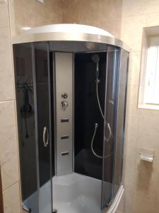 una doccia con porta in vetro in bagno di Котедж "Зорі Карпат" a Slavske