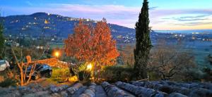 a view of a garden with trees and a mountain at Margherita Holiday Home in Cortona