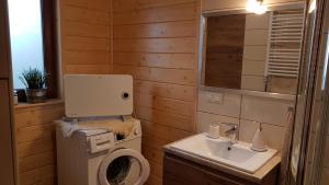 a bathroom with a toilet and a sink at Agroturystyka "Domek pod Praszywką" in Rycerka Górna
