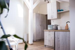 Dapur atau dapur kecil di Voal Mini Apartament