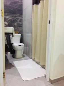 a bathroom with a toilet and a shower curtain at La casa de Leslie - Apartment 2 in Mérida