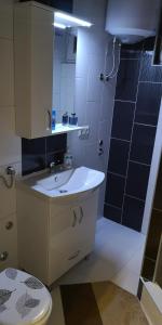 Koupelna v ubytování Apartment Cakic + 10 fotografií