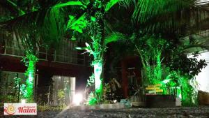 un grupo de árboles con luces verdes frente a un edificio en Residencial Natux, en Bombinhas