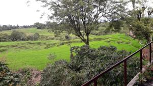 a view of a lush green field from a staircase at Villa Sahala Simanjuntak in Balige