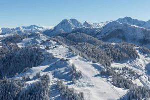Fotografie z fotogalerie ubytování Haus Christina v destinaci Sankt Johann im Pongau