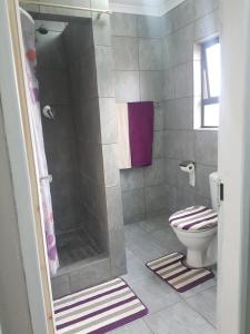Jubie's Guest Lodge في فيرينجنغ: حمام مع دش ومرحاض