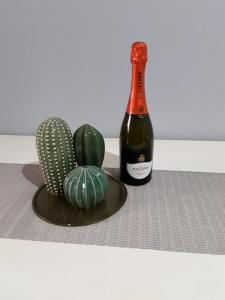 - une bouteille de vin et un cactus sur une table dans l'établissement Casa galletti, à Rome