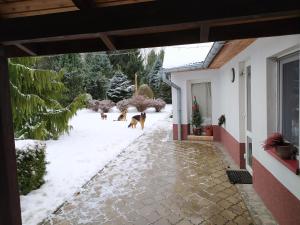 Fotografia z galérie ubytovania MaJa pokoje gościnne v destinácii Lądek-Zdrój