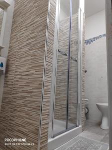 ナポリにあるナプレ 10のバスルーム(ガラス張りのシャワー、トイレ付)