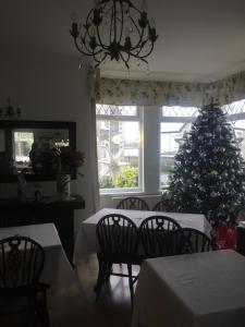 a dining room with a christmas tree in the window at Alderberry Lodge in Newquay
