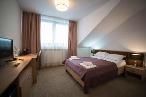 a hotel room with a bed and a television at Hotel Avangarda in Różan