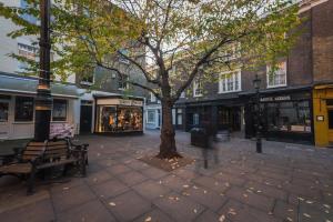 a tree in the middle of a street with benches at 44 Curzon Street by Mansley in London