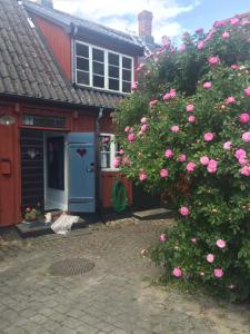 Zahrada ubytování Gårdshus Torget Åhus + 1 fotografie