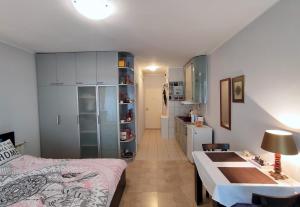 a small room with a bed and a kitchen at City Center Lovely Studio Apartment in Belgrade