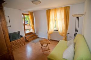 een woonkamer met een groene bank en een televisie bij Weingut Landmann Ferienwohnungen in Freiburg im Breisgau