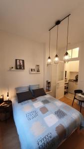 1 dormitorio con 1 cama grande en una habitación en Le Galope, Appartement centre Compiègne en Compiègne
