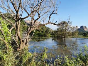 Paesaggio naturale nelle vicinanze del bed & breakfast